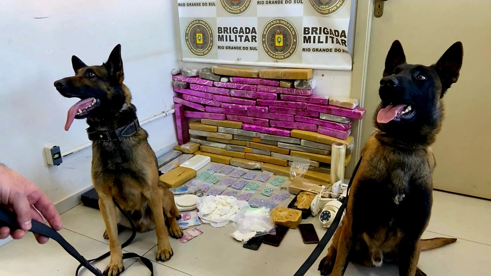 Apreensão de mais de 50 kg de drogas em Passo Fundo: homem é preso em ação policial